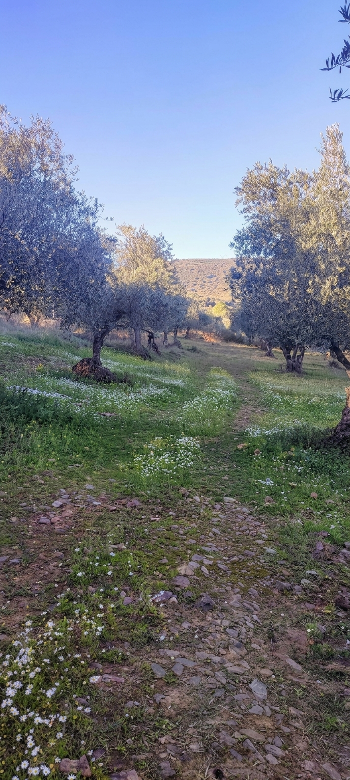 DOS PUEBLOS UNA MISMA PASION